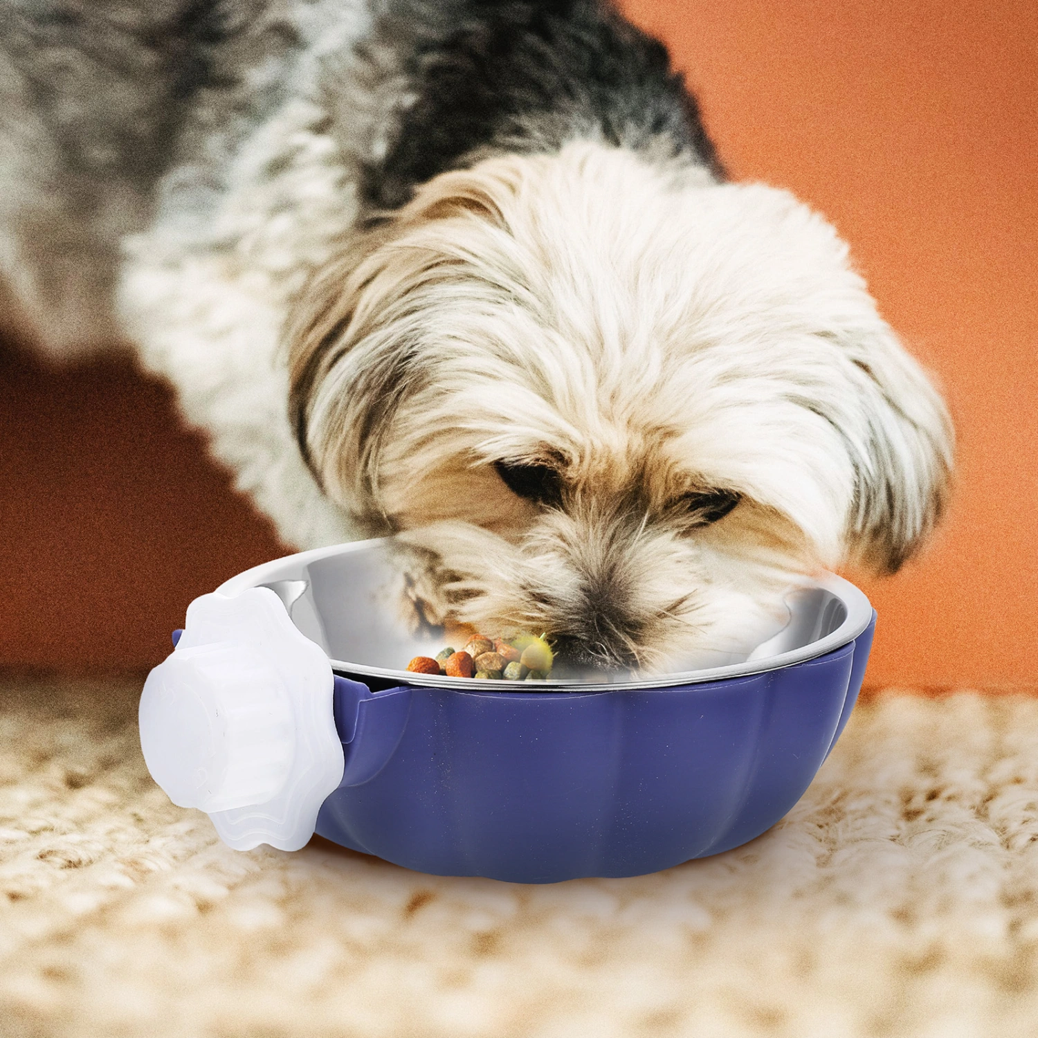Household Feeding Bowl Convenient Kitten Bowl Wear-resistant Puppy Bowl Pet Accessory