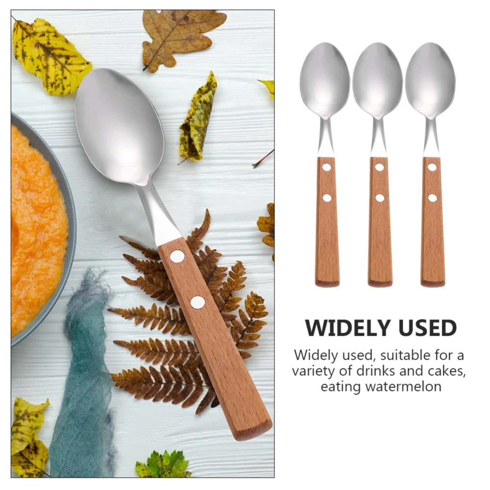 3Pcs Dessert Scoops Stainless Steel Spoons with Wood Handles (Wood Color)