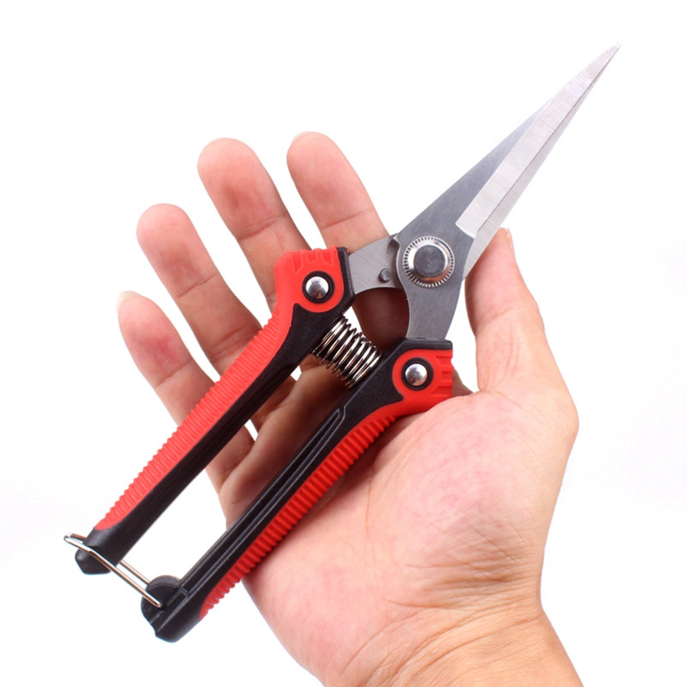 Stainless Steel Tipped Orchard Pruning Shears for fruit Picking and Pruning