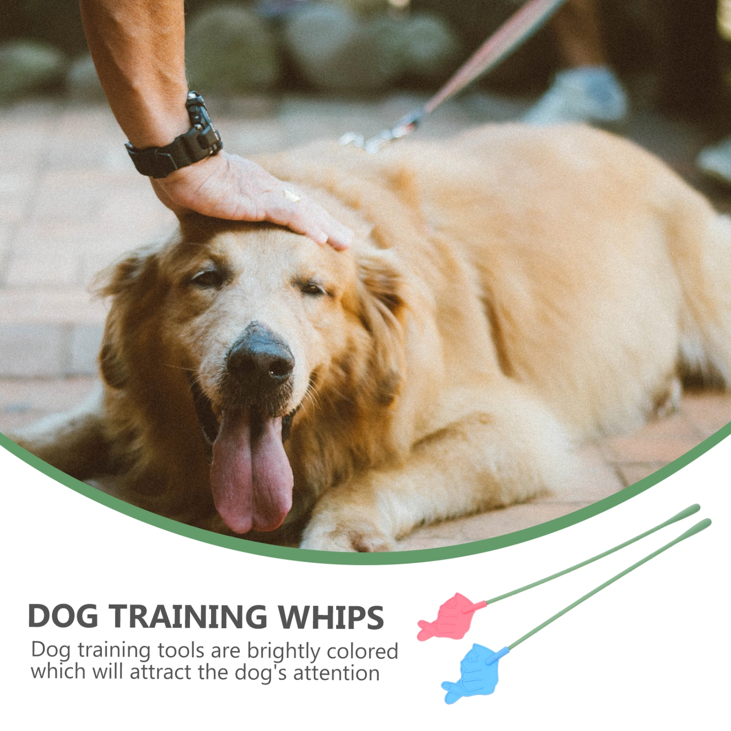 2Pcs Dog Training Whips Pet Plastic Whips Pet Training Pointers Pet Supplies