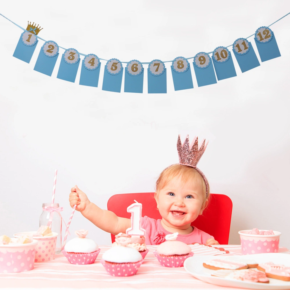 Baby 12 Months Photo Banner Decoration Banner Hanging Garland for Baby's 1st Birthday (Blue)