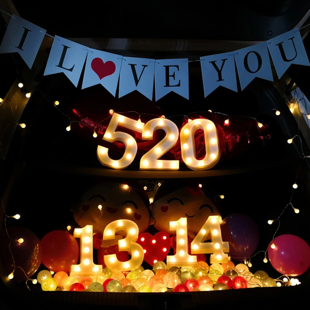 LED Number Lights Sign Night Light Number Lamp for Wedding Birthday Christmas Party Decoration (Number 2)