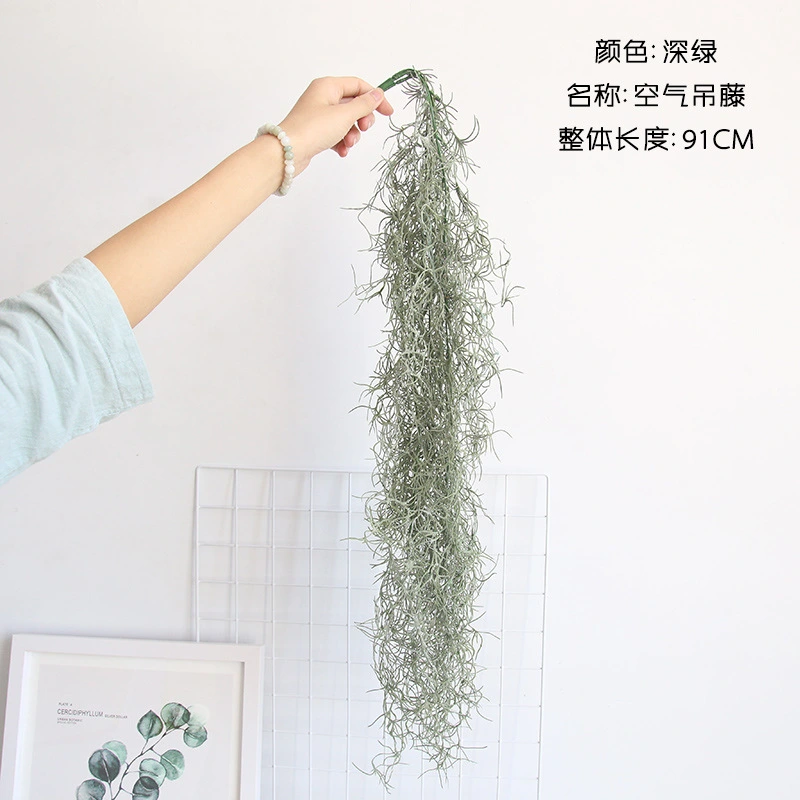 Micro-landscape Decor Moss Decorative Lichen Plants Dried Natural Moss Hanging Moss