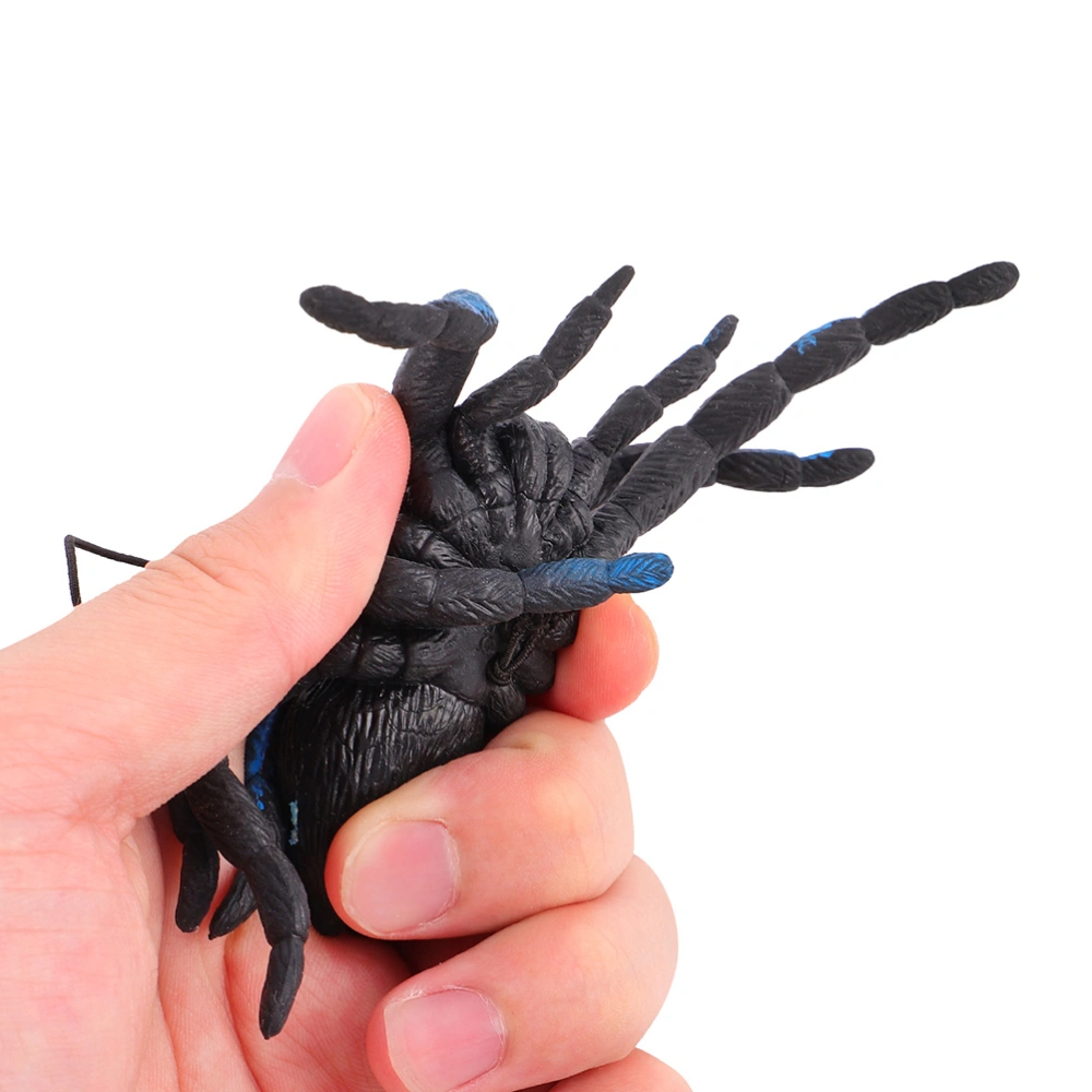 6pcs Spider Toys Plastic Model Toys Simulation Black Spider Props