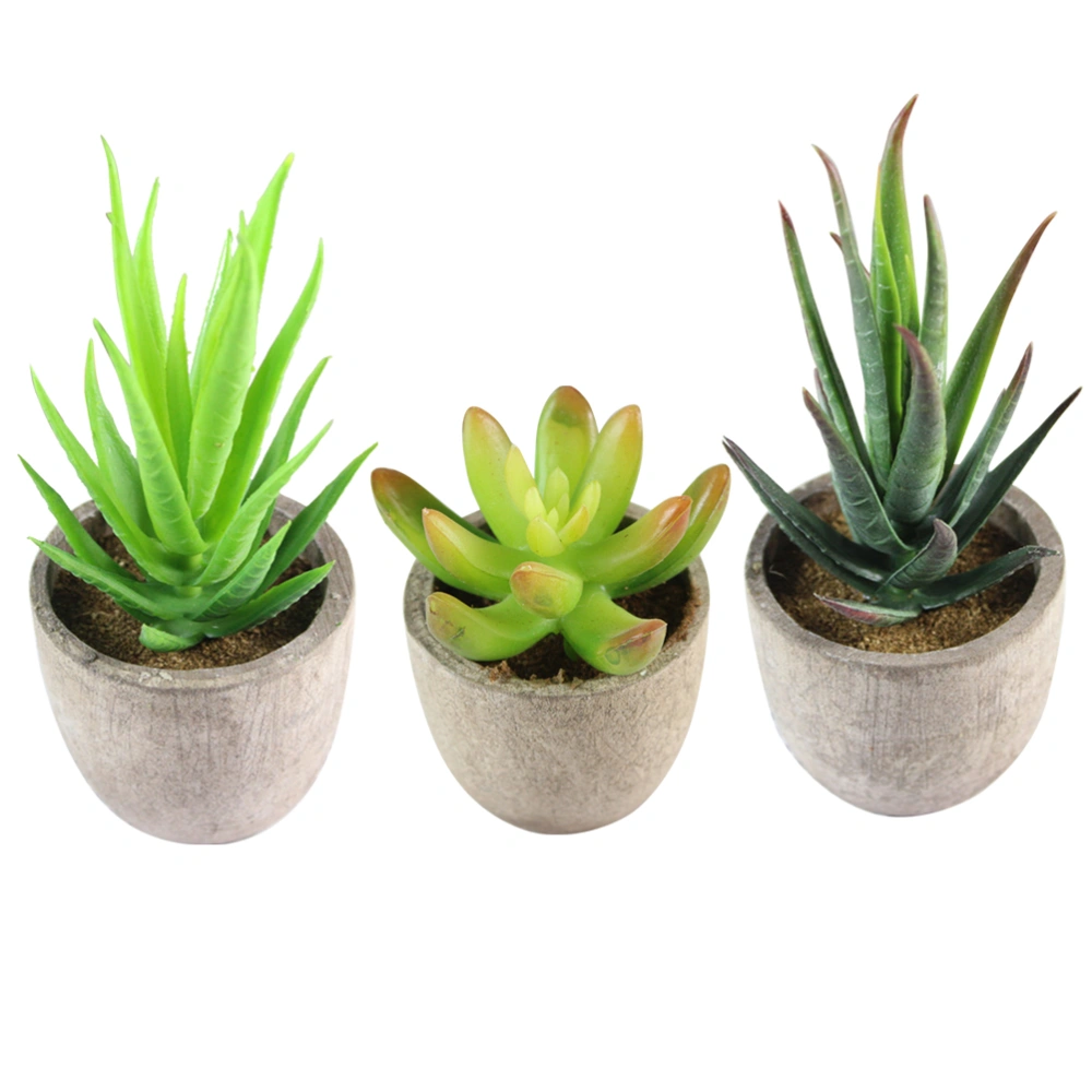 3pcs Lovely Imitated Plants Bonsai Simulation Succulent Plants Ornaments Home Decoration for Office Living Room