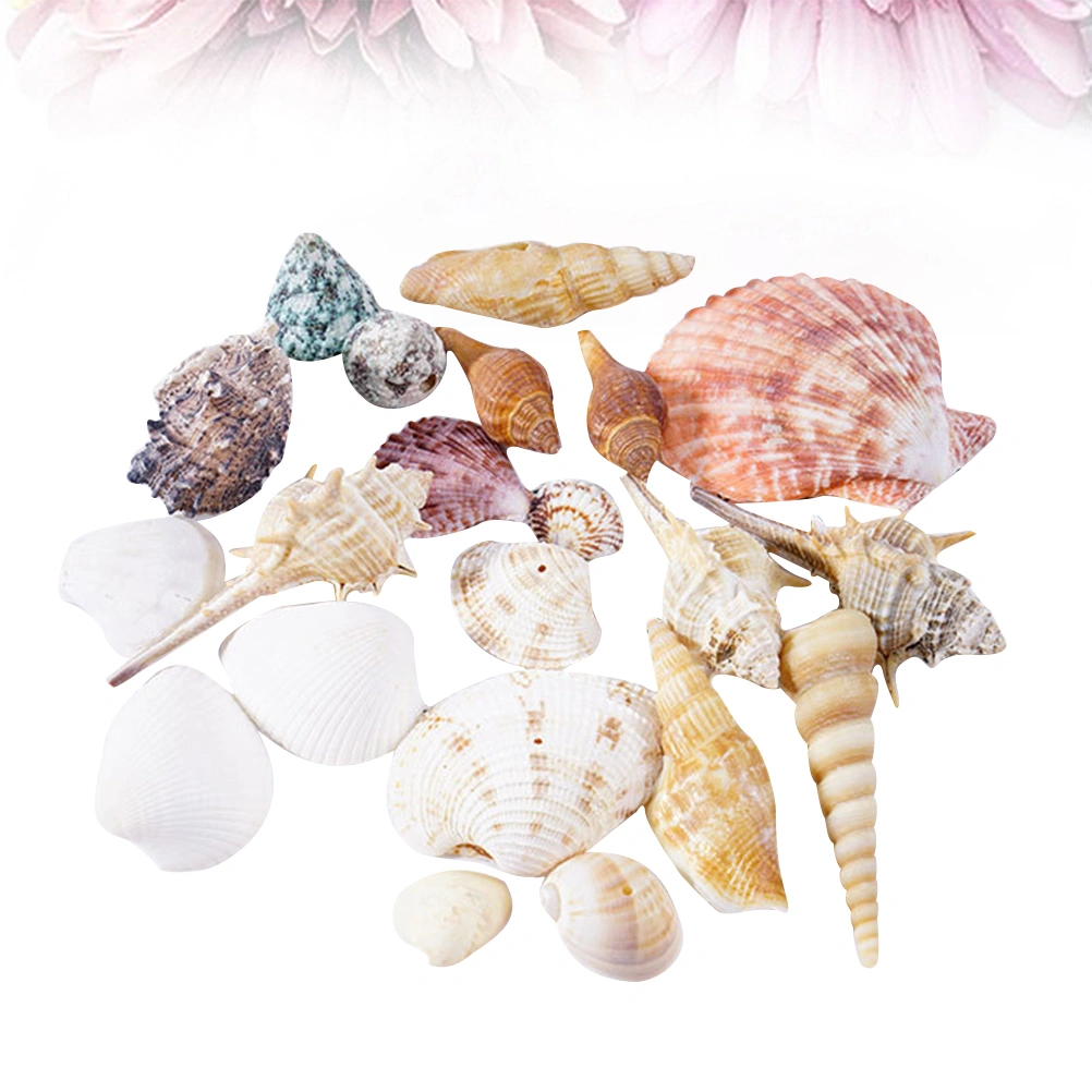 Decorative Aquarium Sea Shells Landscaping Natural Shells Crafts Fish Tank Decor (Shell Conch Bag, Large)