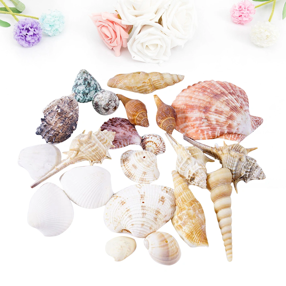 Decorative Aquarium Sea Shells Landscaping Natural Shells Crafts Fish Tank Decor (Shell Conch Bag, Large)