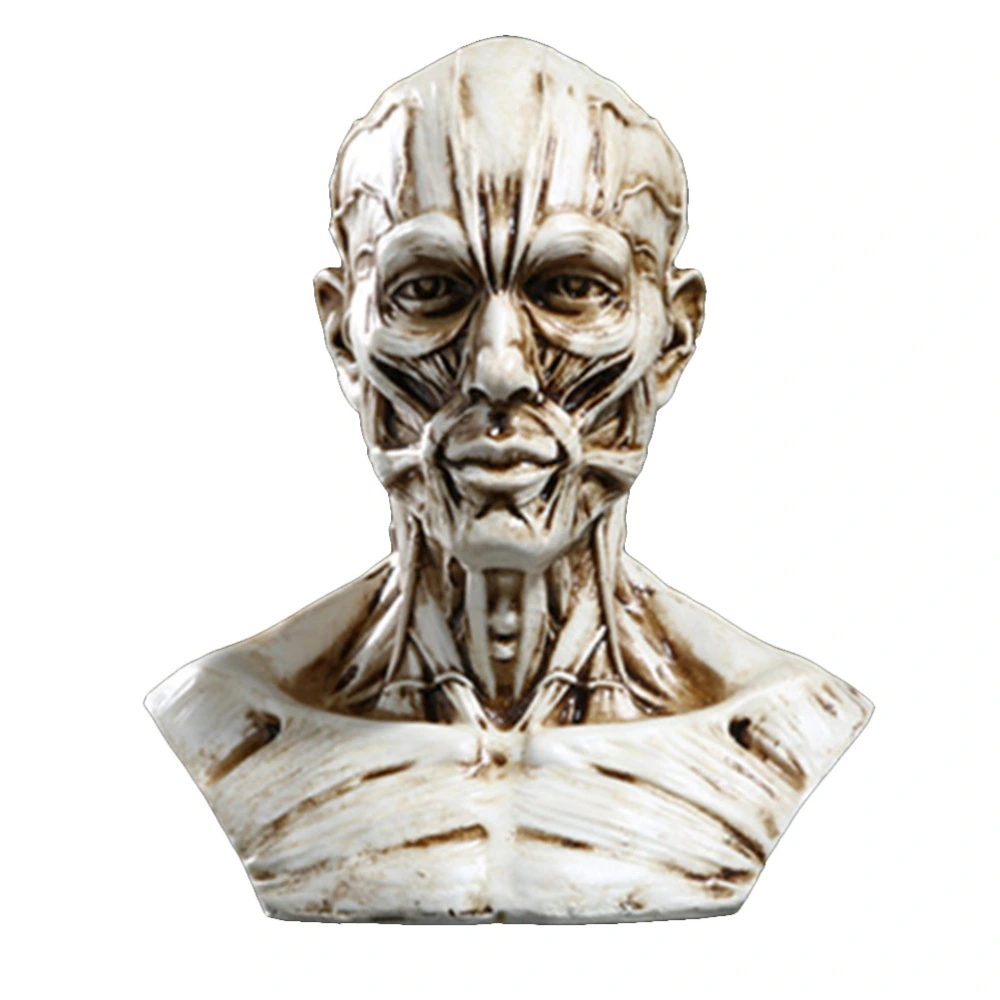 1PC Resin Half Human Body Model Decor Medical Human Skull Model Adornment Creative Half Human Body Decoration Delicate Human Skull Model Craft Chic Half Human Body Model Figurine Decor for Office Bar (White)