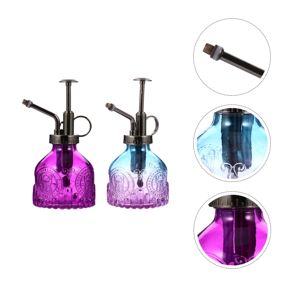 2pcs Glass Plant Mister Spray Bottle Vintage Plant Spritzer Watering Bottle