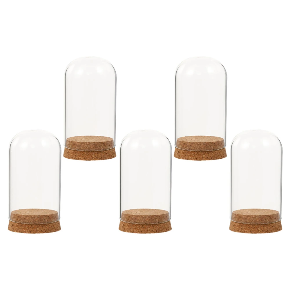 5Pcs Preserved Fresh Flower Glass Cover Preserved Flower Adornment Cover with Cork