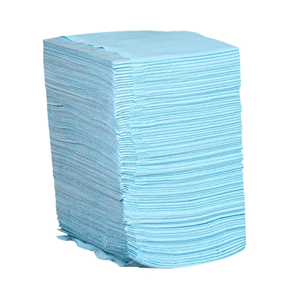 125pcs Disposable Clean Pad Cloth Waterproof Medical Hygiene Personal Paper Tablecloths Mat Sheets Accessories (Blue)