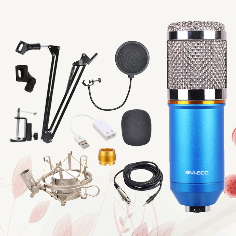 Professional Studio Broadcasting Recording Condenser Microphone  Bundle Mic Kit (Blue)