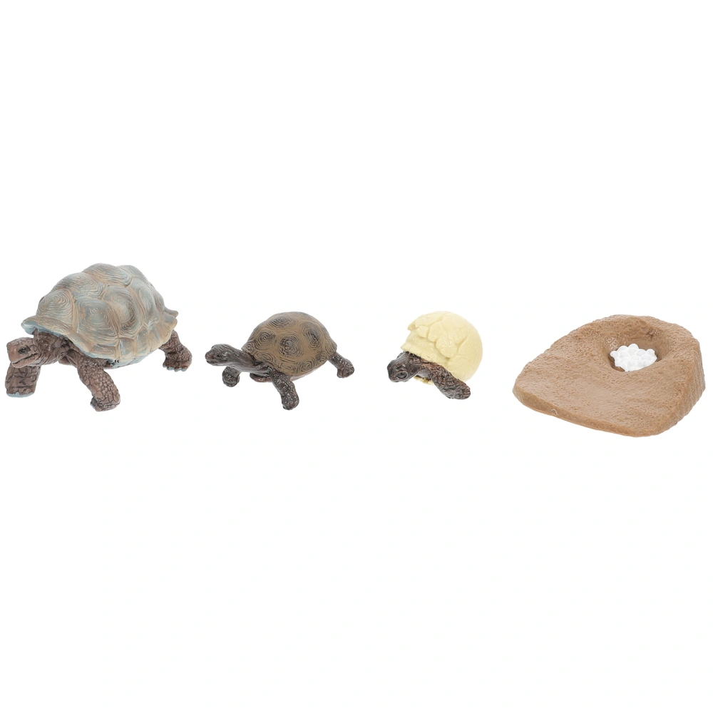 4 Pcs Tortoise Growth Cycle Toy Kit Turtle Growth Cycle Adornment (Random Color)