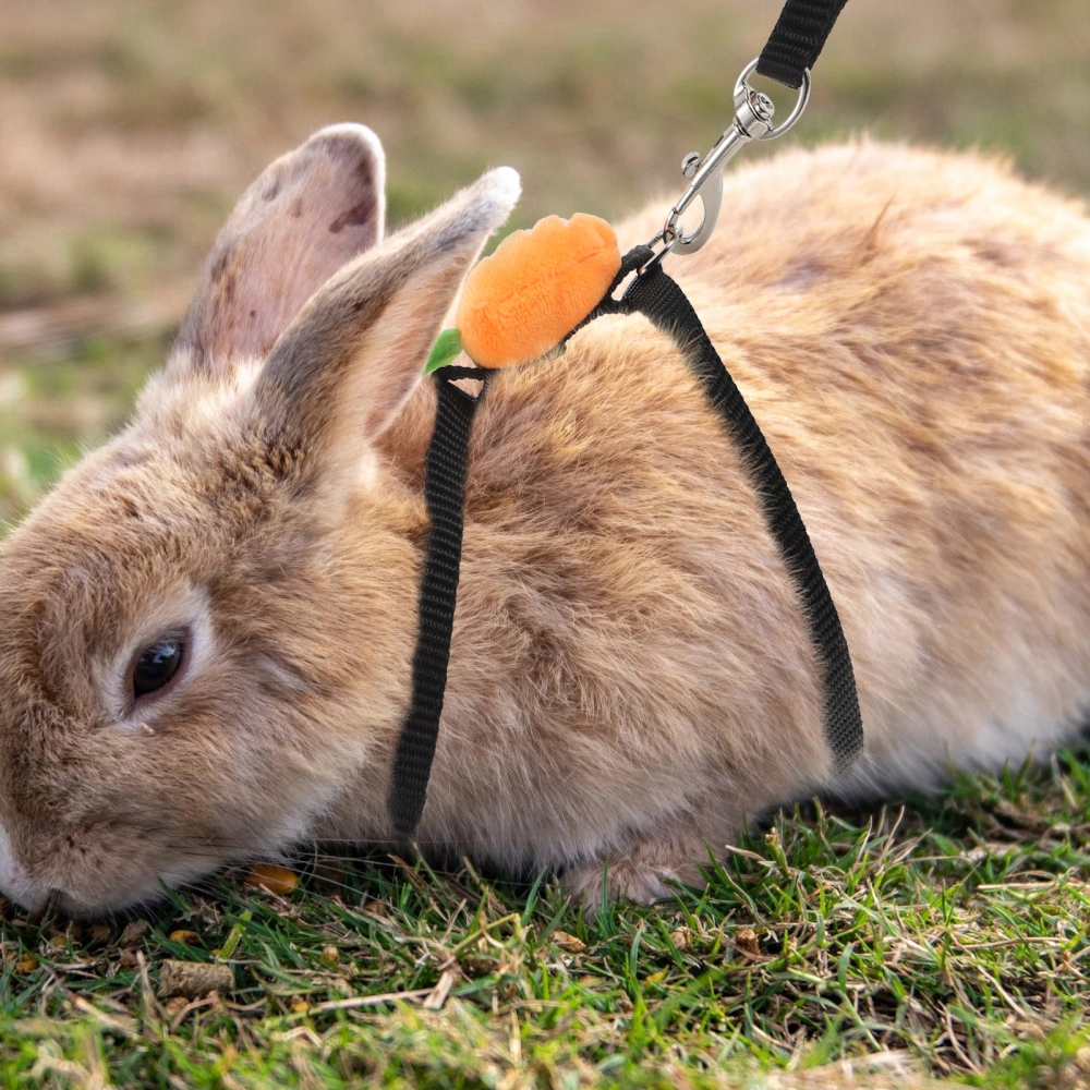 Pet Traction Rope Squirrel Rabbit Out Walk Rope Harness Rope Rabbit Leash