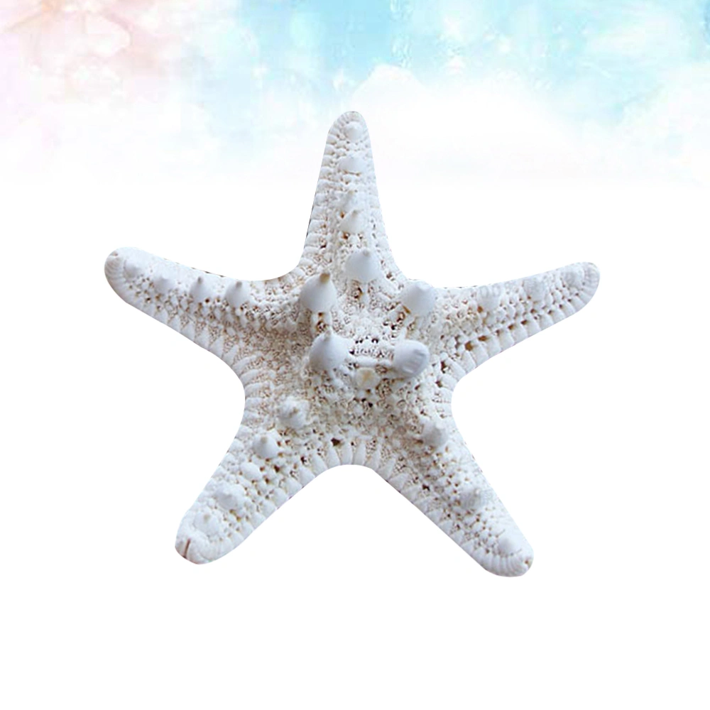 5Pcs Natural Sea Star Ornaments Ocean Themed Adornments Photo Props Party Setting Decors for Home Shop