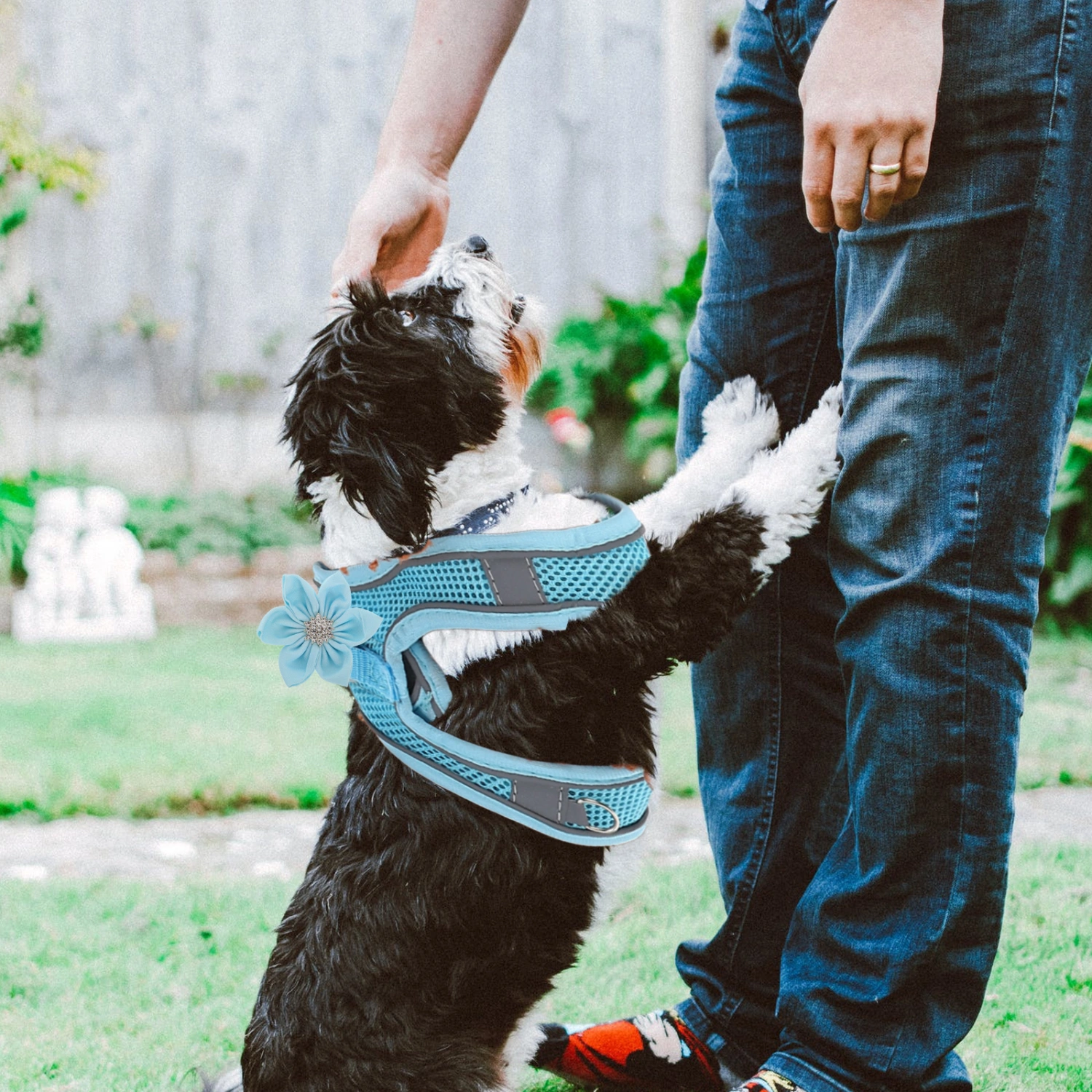 1 Set of Dog Harness with Leash Breathable Pet Harness Reflective Dog Harness