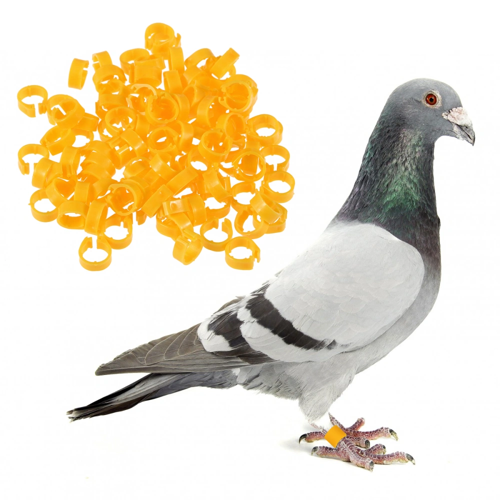 100 Pcs Birds Identification Pigeons Parrot Bird Opening Foot Rings Bird Supplies (Yellow)