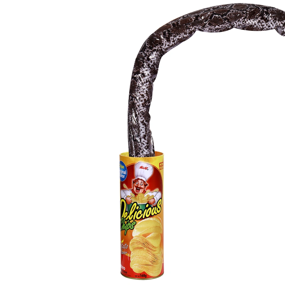 PRETYZOOM Potato Chip Box Snake Funny Spring Snake Jumping Snake April Fool Day Joke Tricky Toy Fake Snake