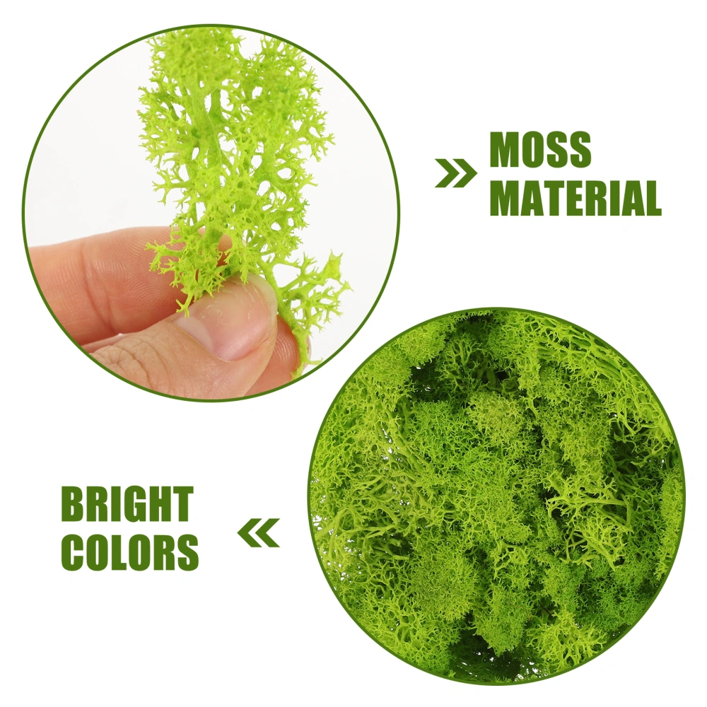 1 Box of Moss Decorations DIY Moss Material Wall Landscape Moss Ornaments DIY Moss Potted Plants