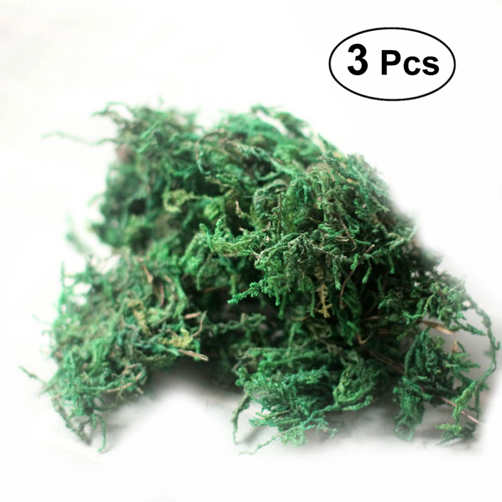 3 Packs of Dried Moss Lichen Green Plants for Home Garden Patio Decoration 60g/Pack