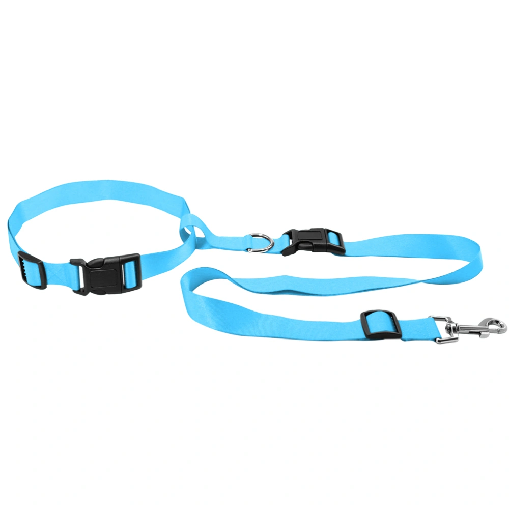 Hands Free Waist Pet Leash Durable Dog Lead for Pets Running Hiking Jogging Waking (Blue）