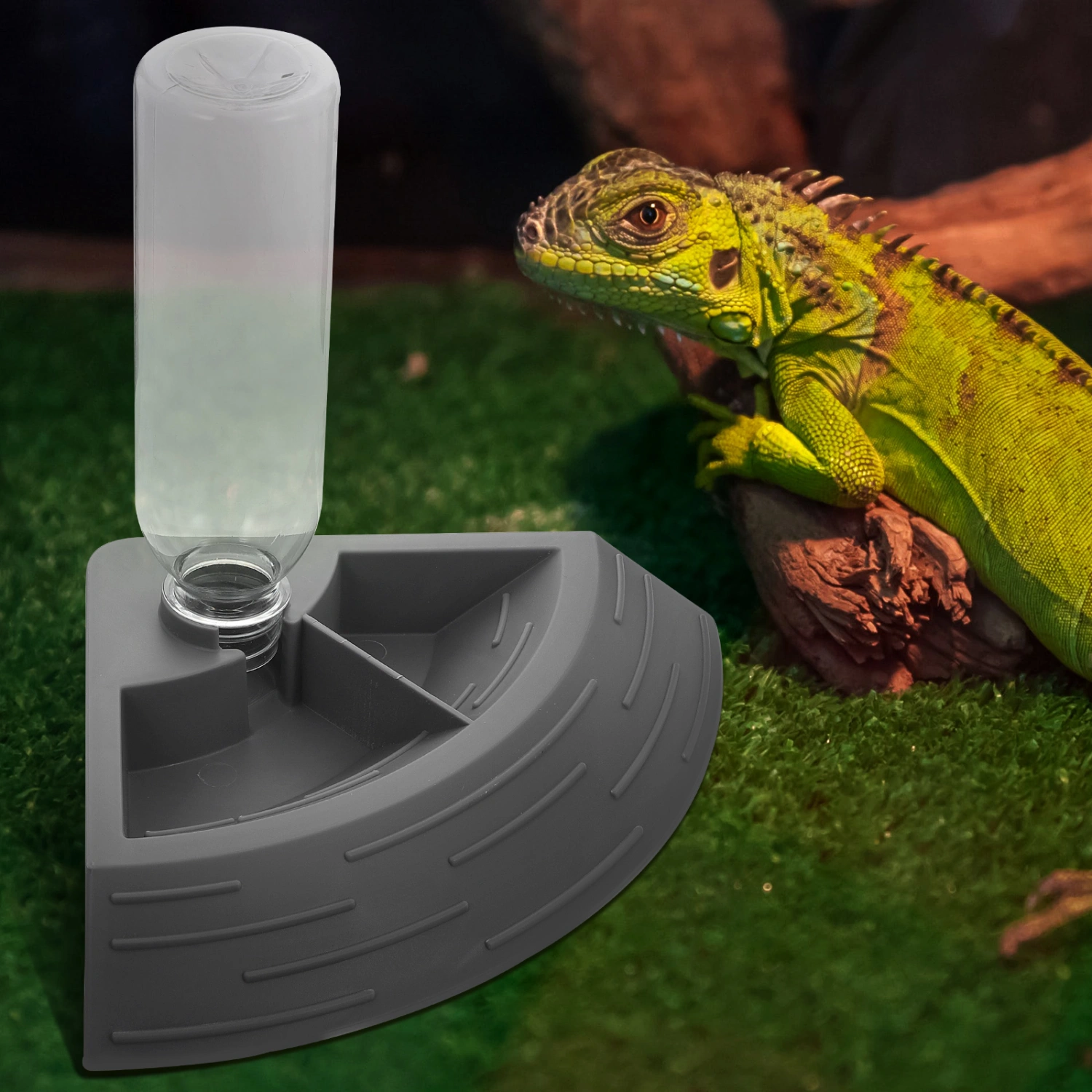 Reptile Water Feeder Crawling Pet Feeding Bowl Pet Lizard Drinking Tray