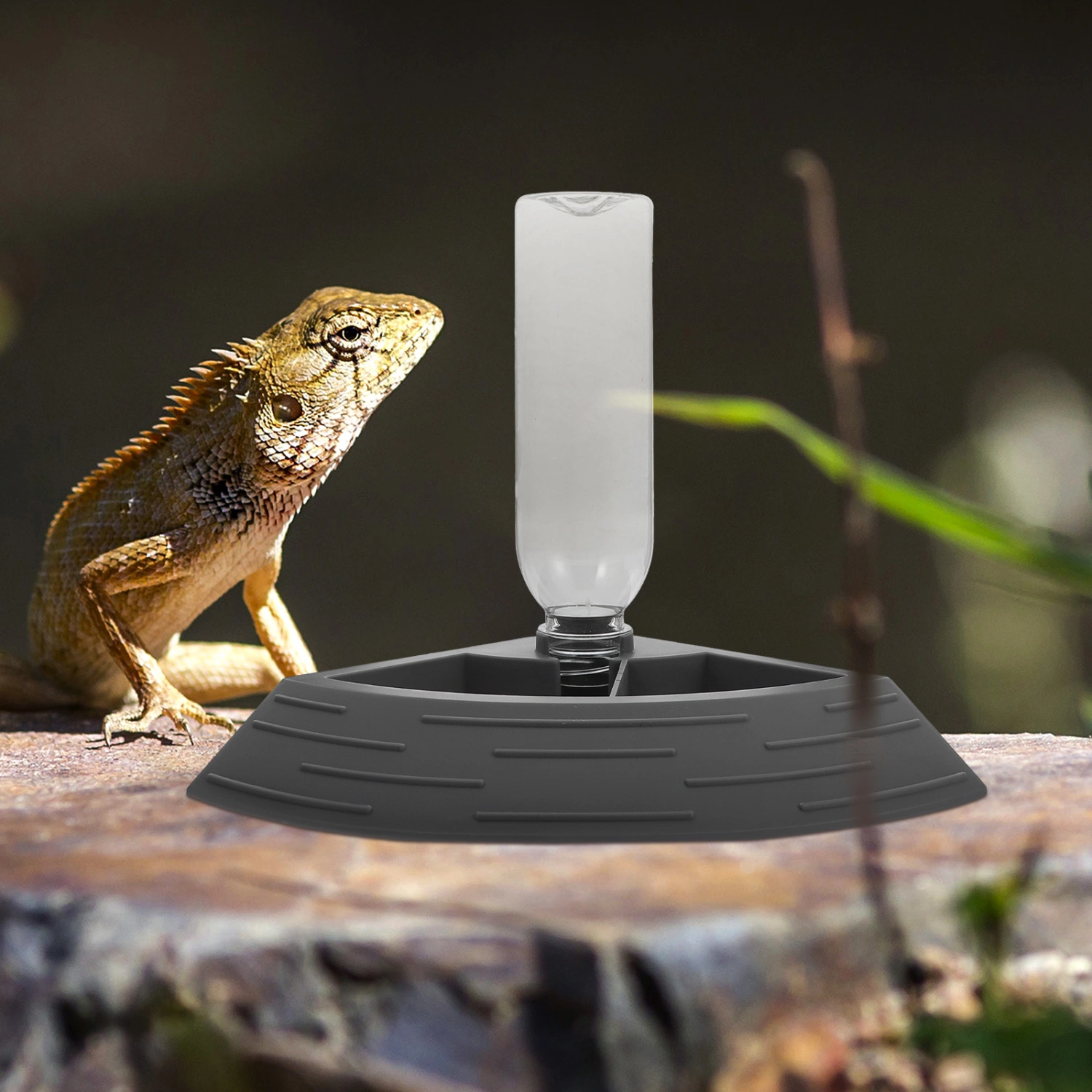 Reptile Water Feeder Crawling Pet Feeding Bowl Pet Lizard Drinking Tray