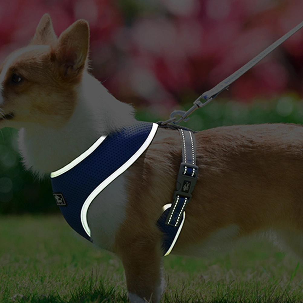 1pc Pet Vest and Leash Set Pet Harnesses Breathable Dog Pulling Strap Reflective Leash Chest Straps for Outdoor - Size XS(Blue)