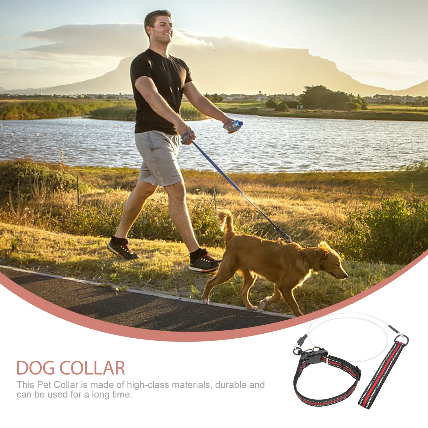 1 Set of Walking Rope Pet Traction Leash Dog Pulling Leash Reflective Walking Rope with Collar