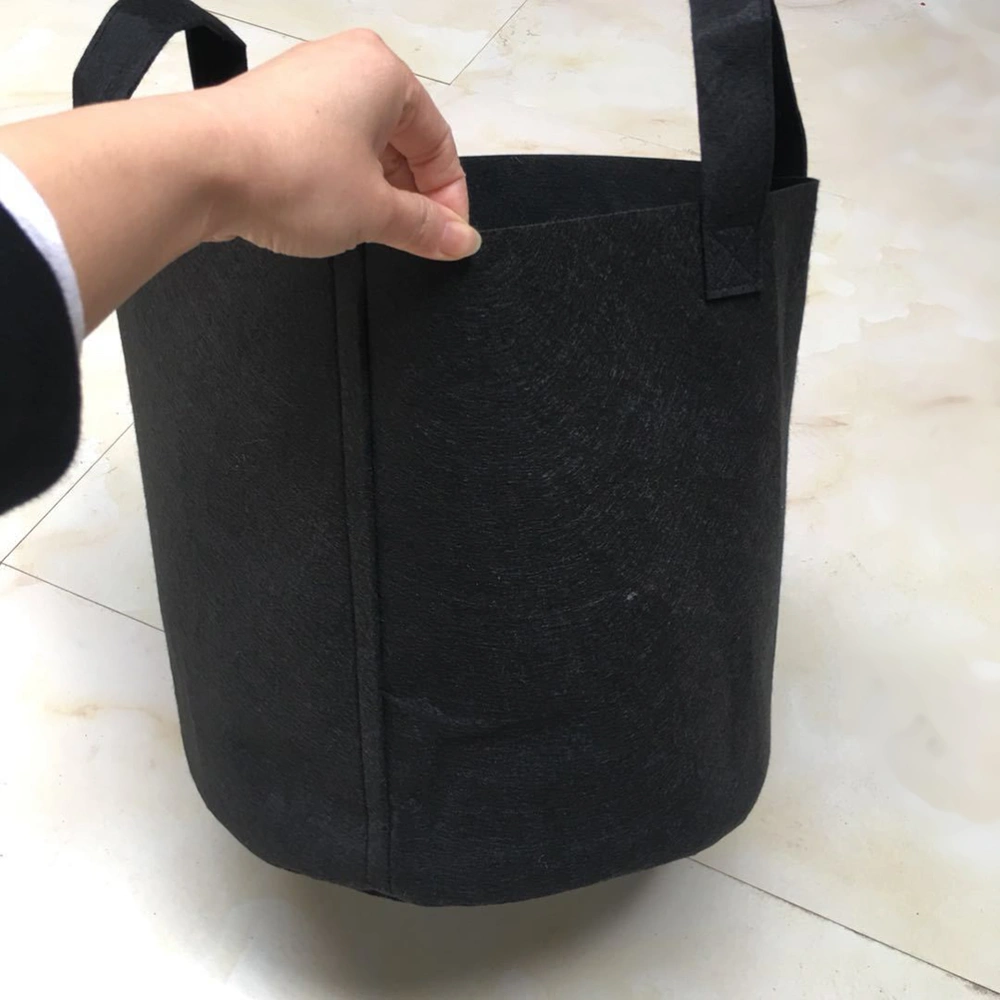 2 Pcs Corrosion-resistant Planting Bags Nonwoven Planters Thickened Growing Pouch Moveable Onion Breathable Planting Container with Double Handle (30x25cm,Black)