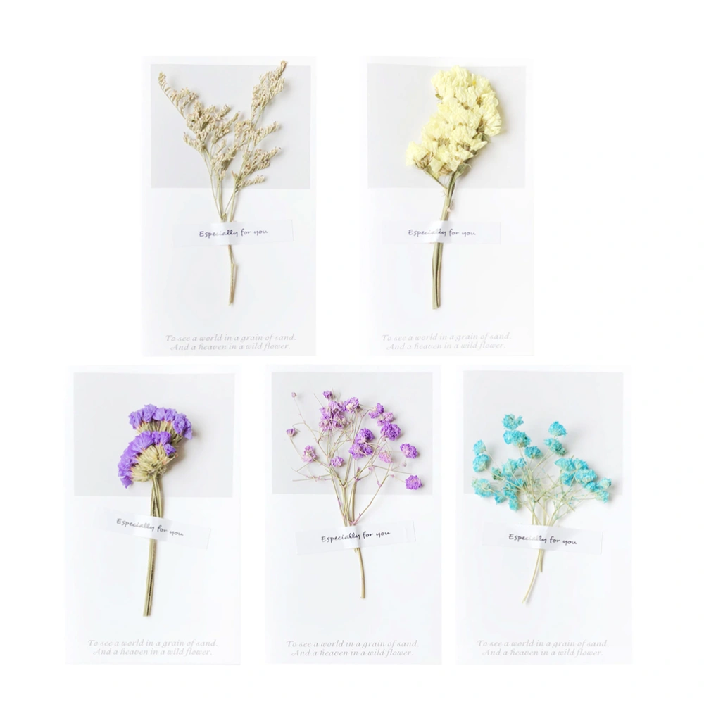 10pcs Birthday Party Greeting Cards Dried Flower Gift Parrty Wish (2pcs Purple Forget-Me-Not, 2pcs Purple Babysbreath, 2pcs Blue Babysbreath, 2pcs Desmodium Gyrans, 2pcs Yellow Forget-Me-Not)