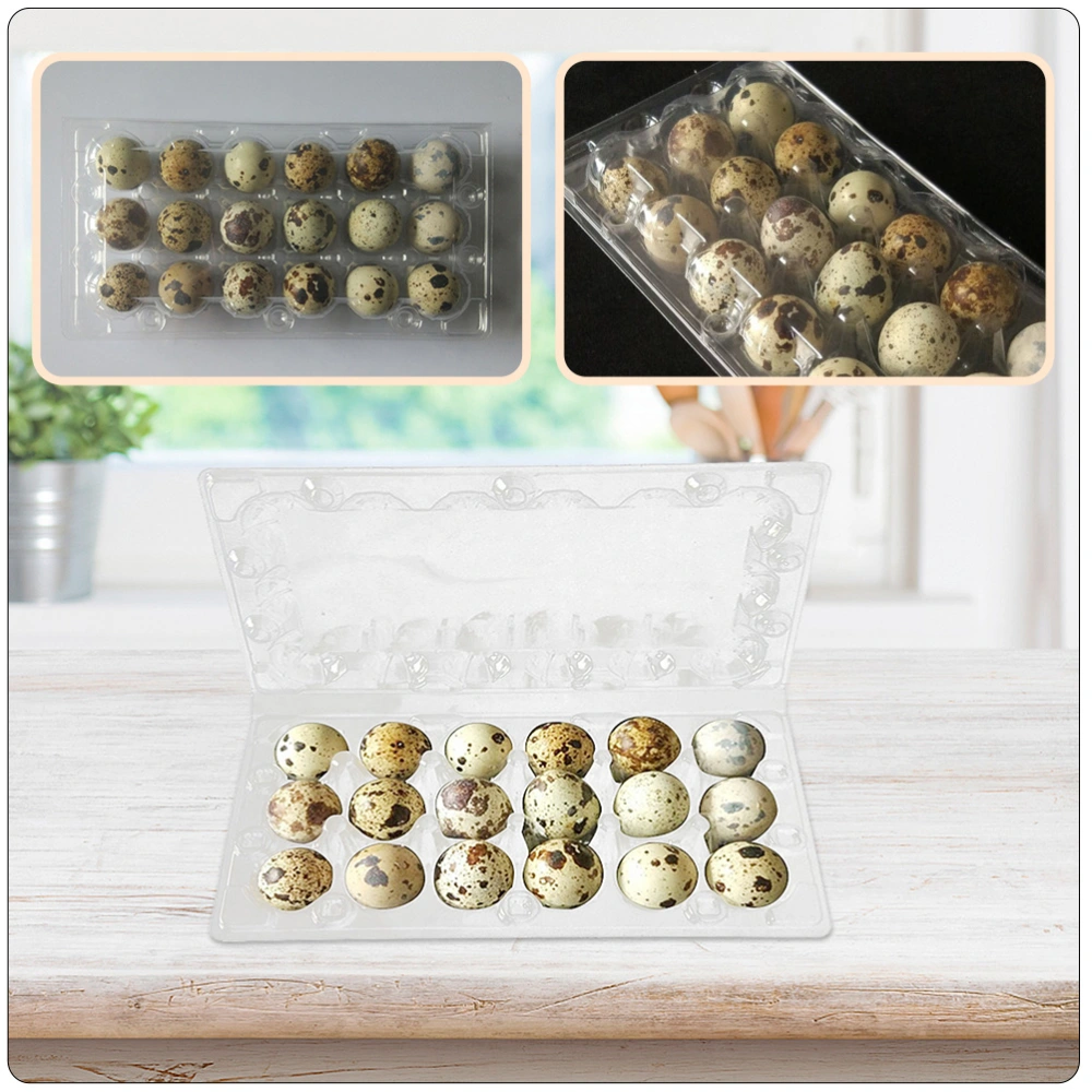 40Pcs Transparent Quail Eggs Packaging Boxes Thicken Egg Storage Boxes