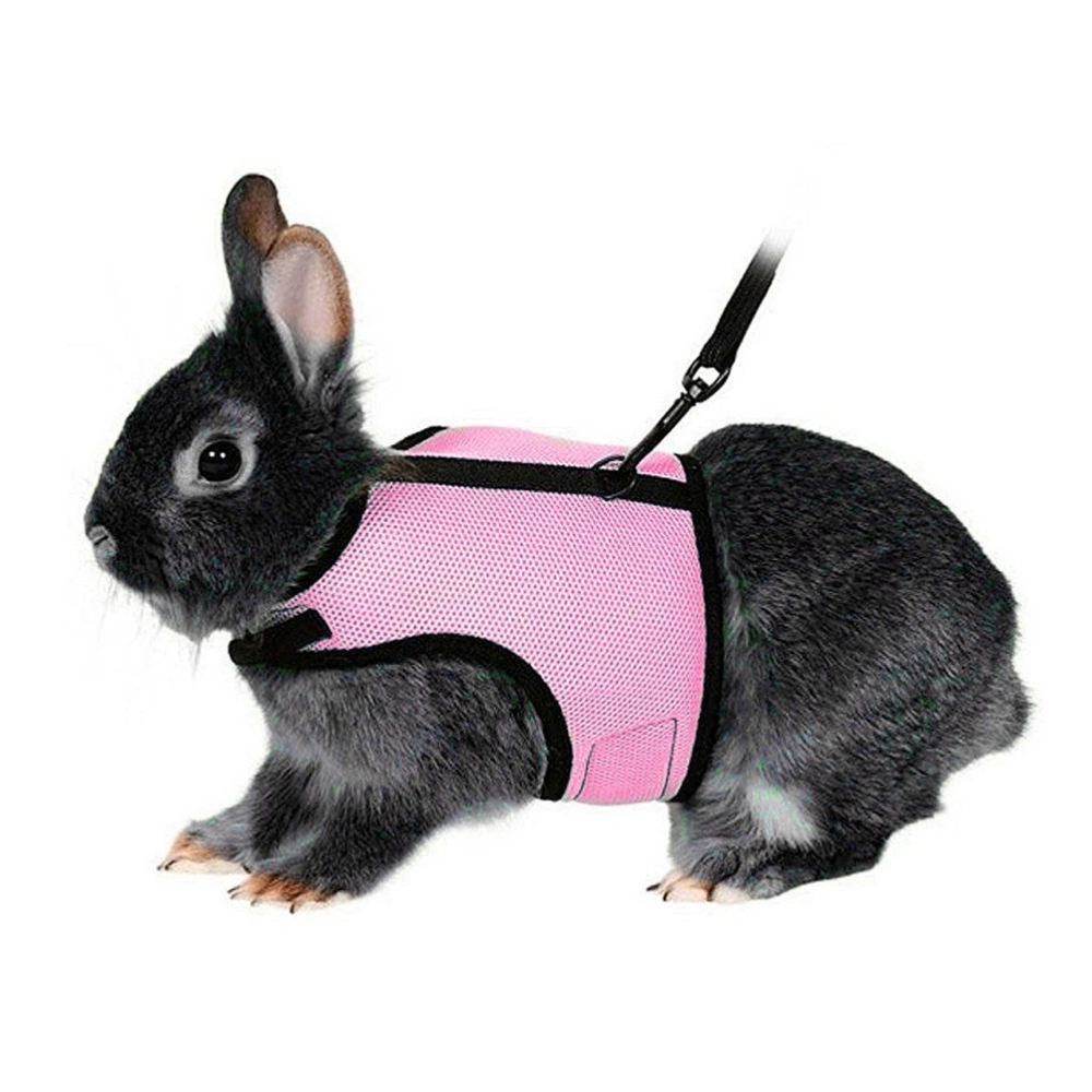 Harness with Lead for Rabbits Bunny Little Pets - Size L(Pink)