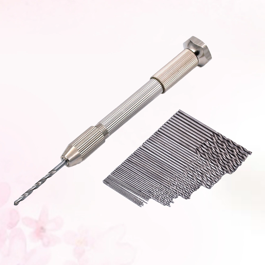 51 Pcs/Set 1 Pc Manual Single Ended Mouth Pin Vise Hand Drill Wire Gauge Bit Holder Twisting Tools Rotary Tool with 50pcs Drill Bit for Jewelry Watch Repairing (Silver)