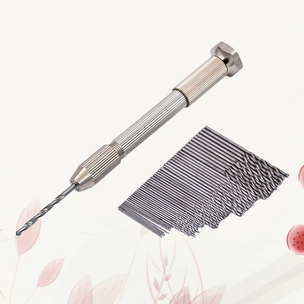 51 Pcs/Set 1 Pc Manual Single Ended Mouth Pin Vise Hand Drill Wire Gauge Bit Holder Twisting Tools Rotary Tool with 50pcs Drill Bit for Jewelry Watch Repairing (Silver)