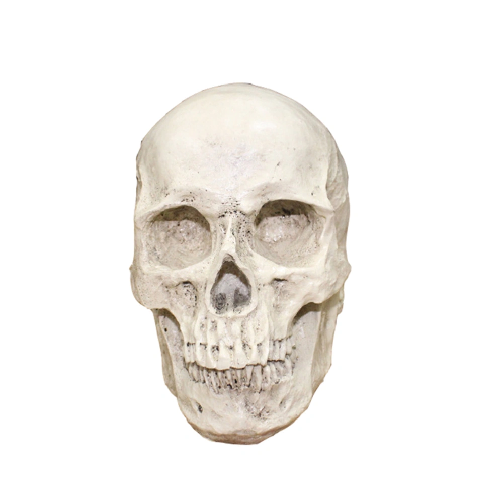 Resin Skull Realistic Human Skull Gothic Halloween Decoration Ornament