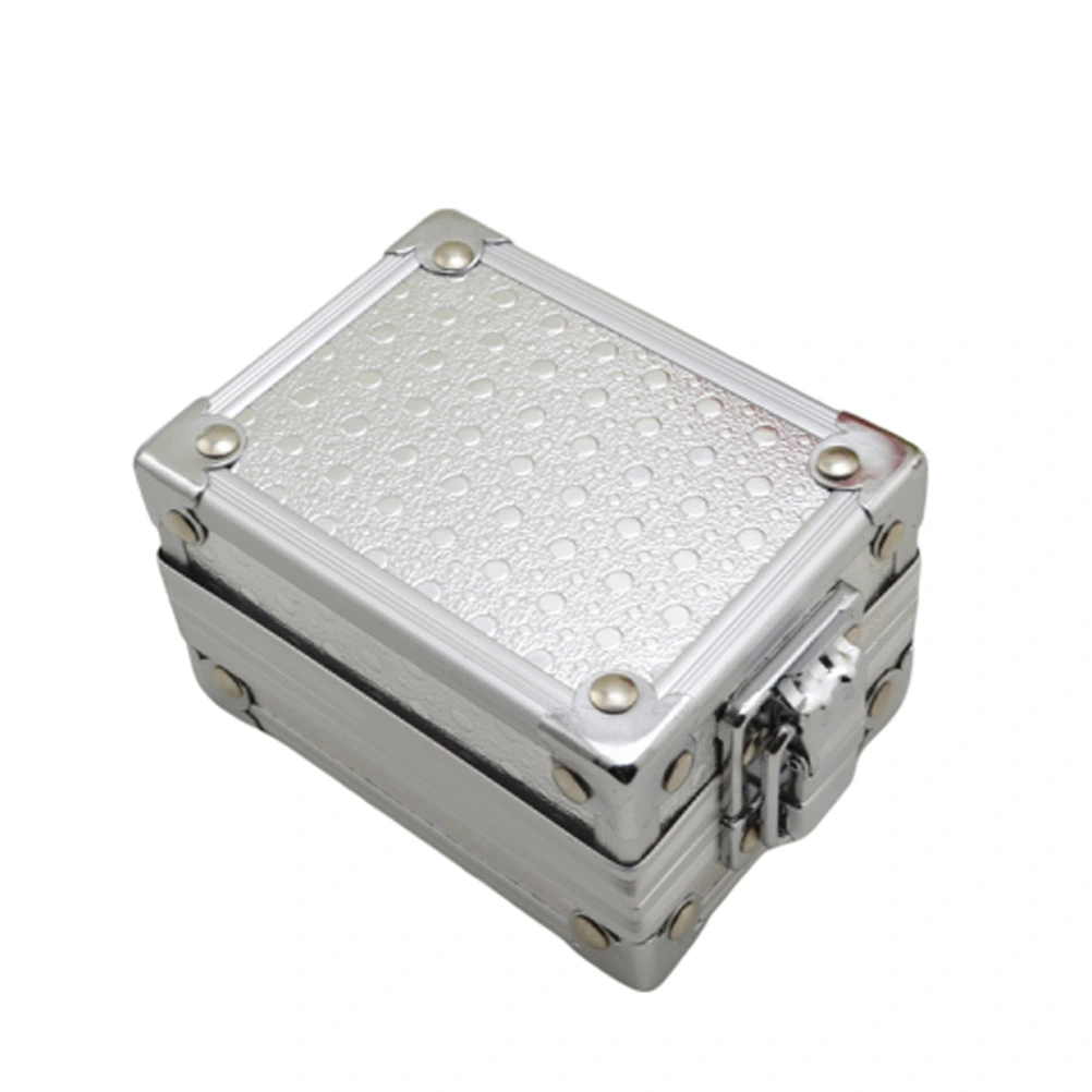Aluminum Watch Container Box with Lock Watch Storage Silver Case