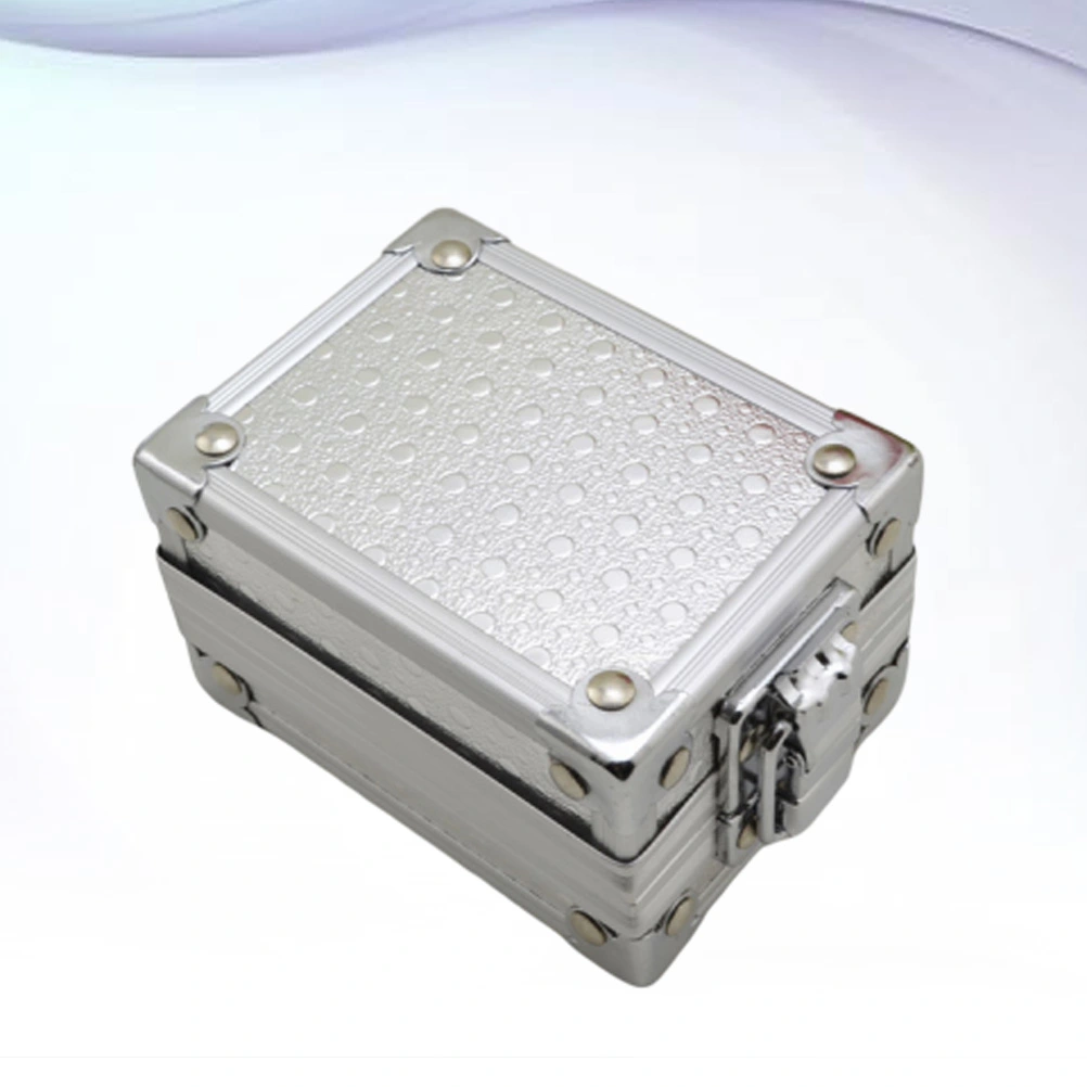 Aluminum Watch Container Box with Lock Watch Storage Silver Case