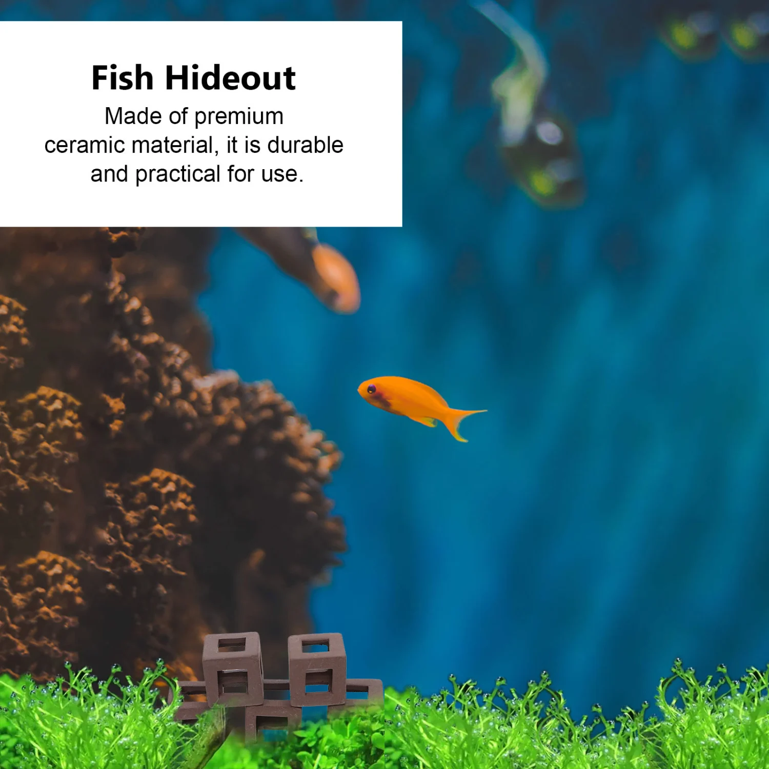 5pcs Fish Tank Fish Hideout Ornament Aquarium Fish Tank Decorations Fish Shrimp Shelter Aquarium Props