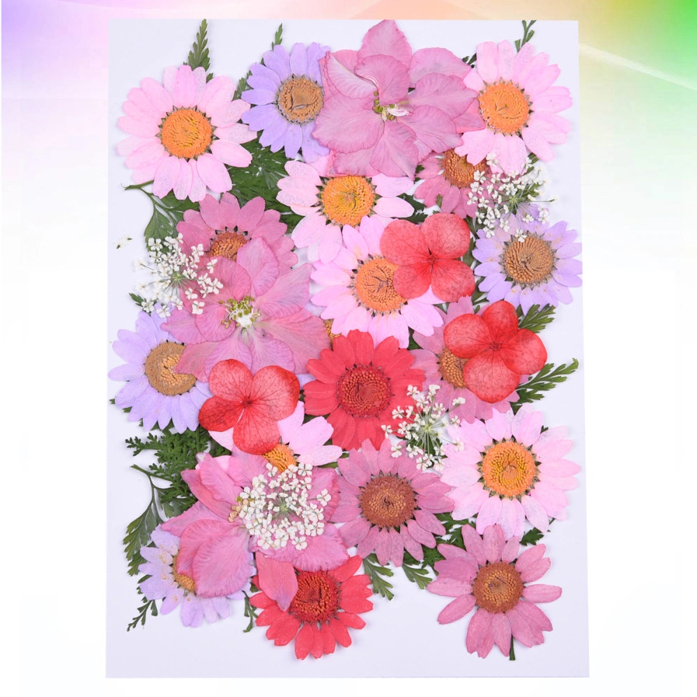 35pcs DIY Multiple Dried Flowers Epoxy Flower Materials Real Pressed Dried Flowers Plants Specimen (9 Flowers)