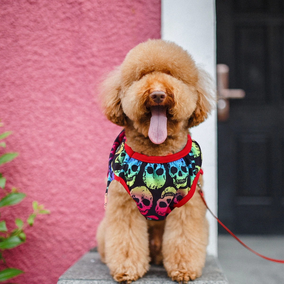 Lovely Skull Printed Sweater Outerwear Warm Clothes Cosplay Clothes for Dog