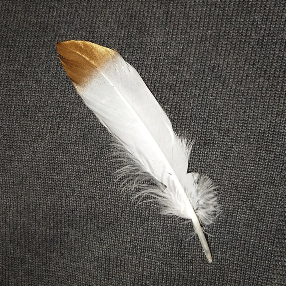 50pcs White Feathers with Gold Tips Dipped Natural White Feathers for Various Crafts Birthday Parties Wedding and Party Dress-ups