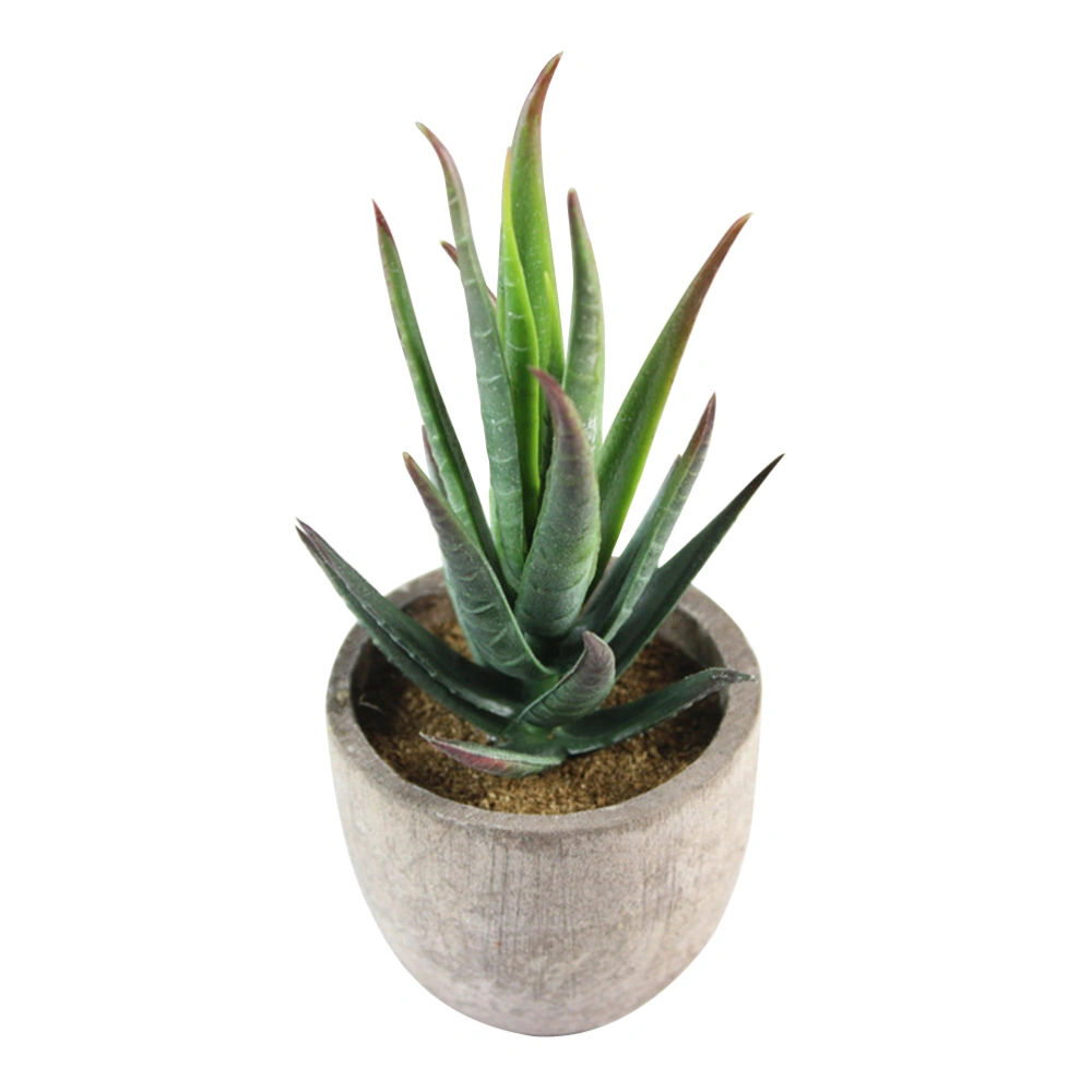 5pcs Decorative Faux Succulent Artificial Succulent Fake Simulation Plants with Pots