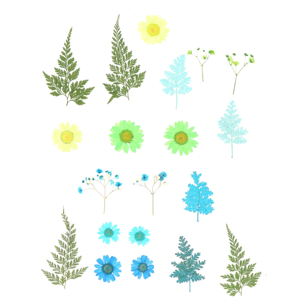 2 Sheets/Total 20pcs DIY Pressed Flowers Sticker Dried Leaf Flowers Plants Patches for Crafts Making (Blue and Green)