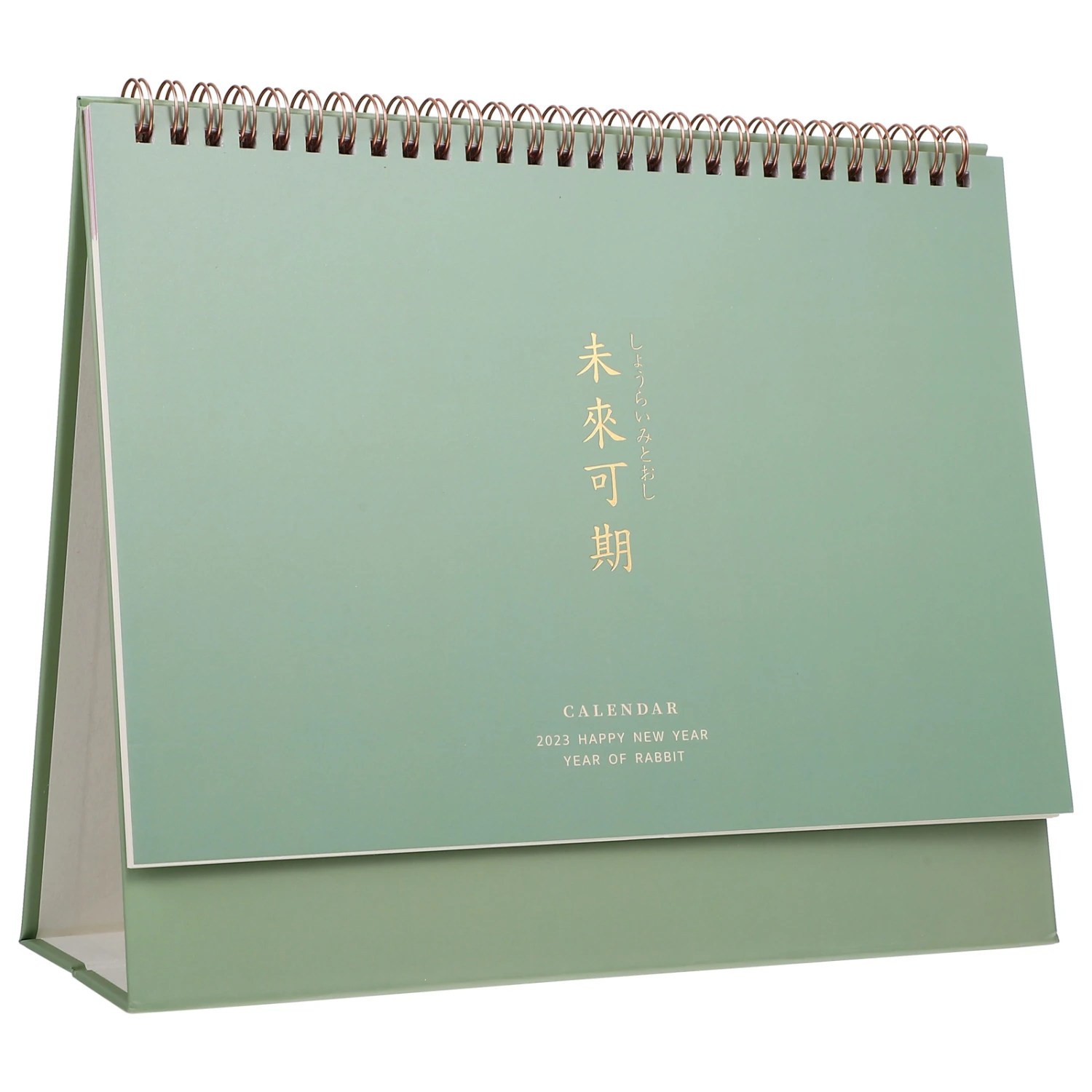 Planner Calendar Agenda Calendar Schedule Calendar Desktop Calendar for Office