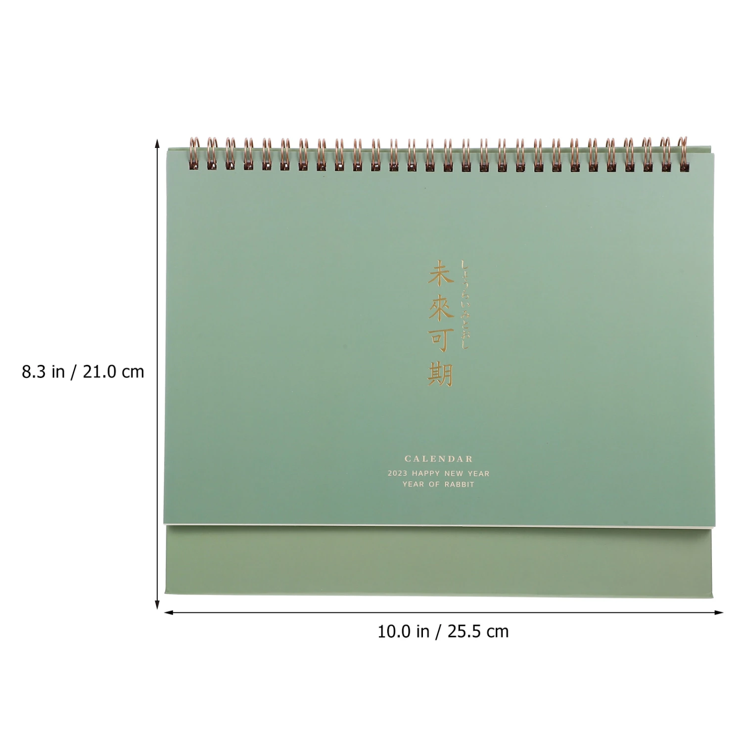 Planner Calendar Agenda Calendar Schedule Calendar Desktop Calendar for Office