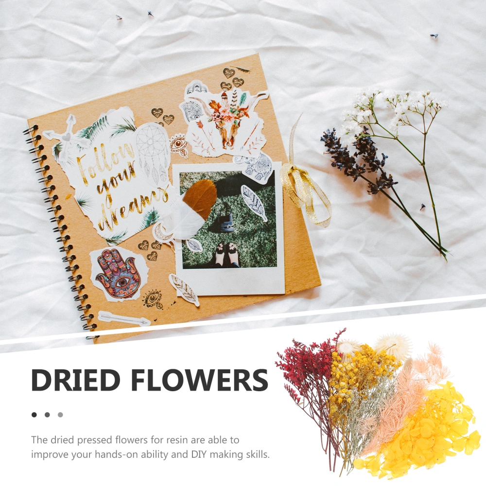 1 Set of Real Dried Flowers DIY Candle Pressed Flowers Art Floral Decorations