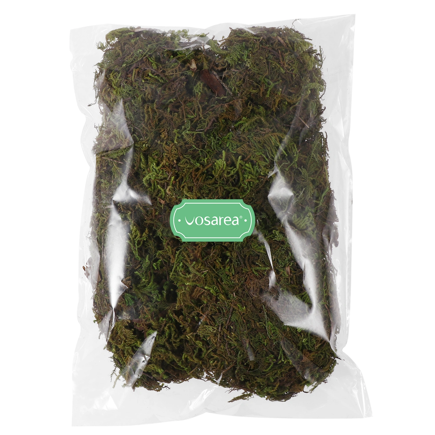 1 Pack Natural Moss Lichen Plants Potted Moss for Home Garden Centerpieces Patio Decoration