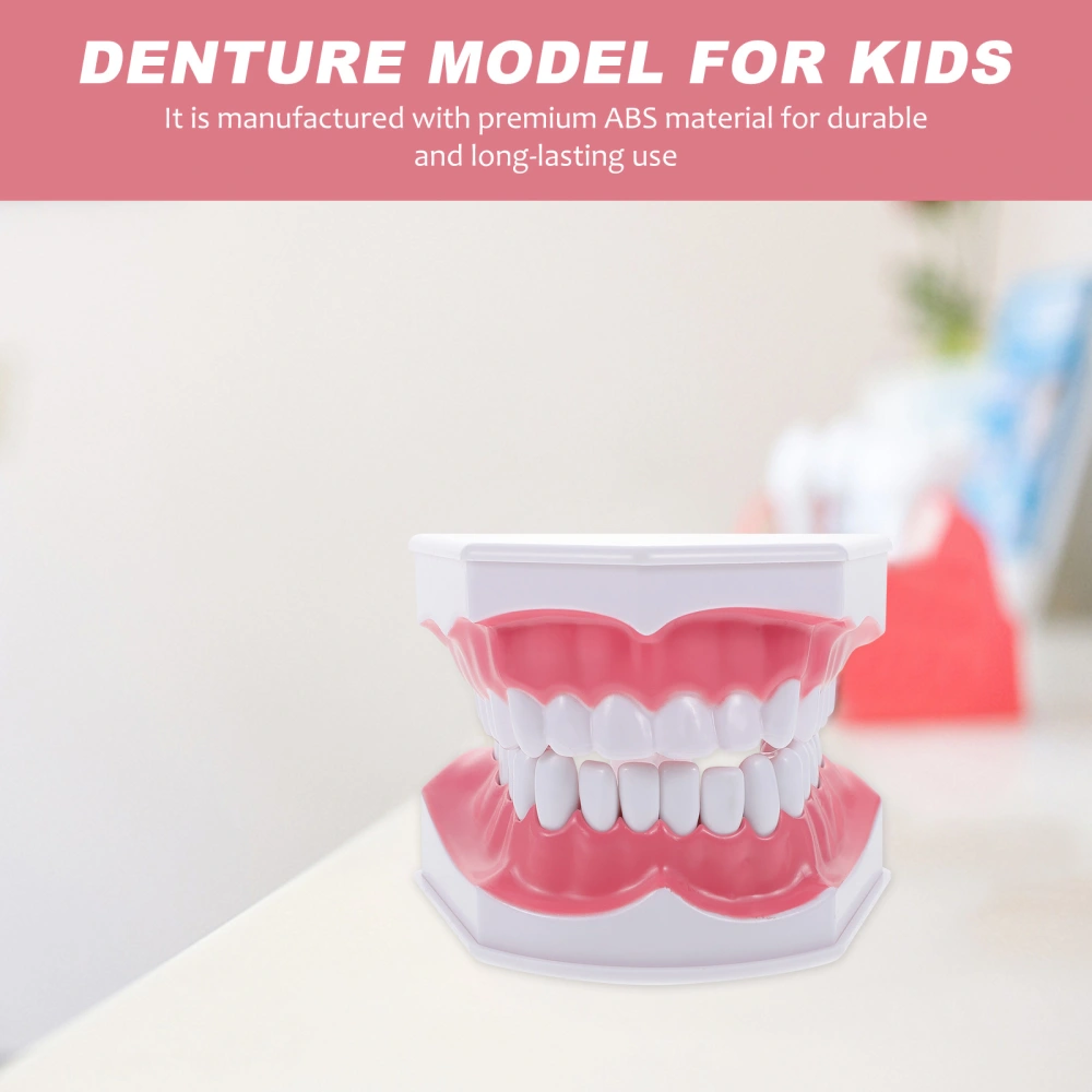 Dental Teeth Care Model Kids Dental Care Teaching Demonstration Model with Toothbrush