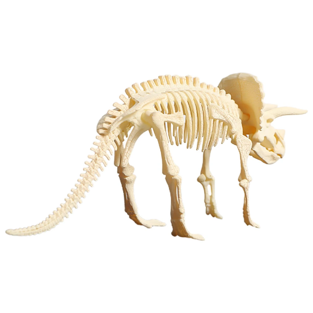 Triceratops Skeleton Model Toys Family Games Kids Home School Educational Gifts